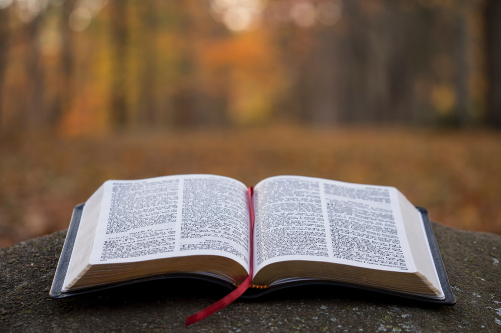 Czytać Pismo Święte, ale jak? Refleksja biblijna